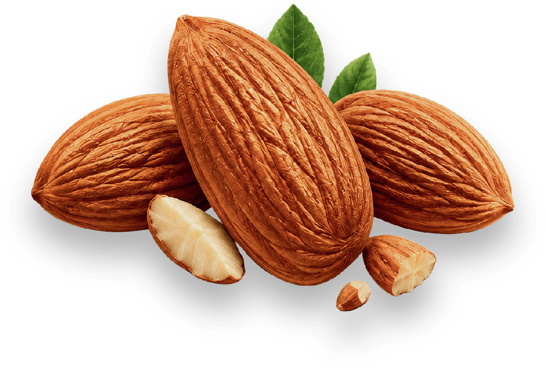 MEWA extra premium almonds with a split almond showing the kernel