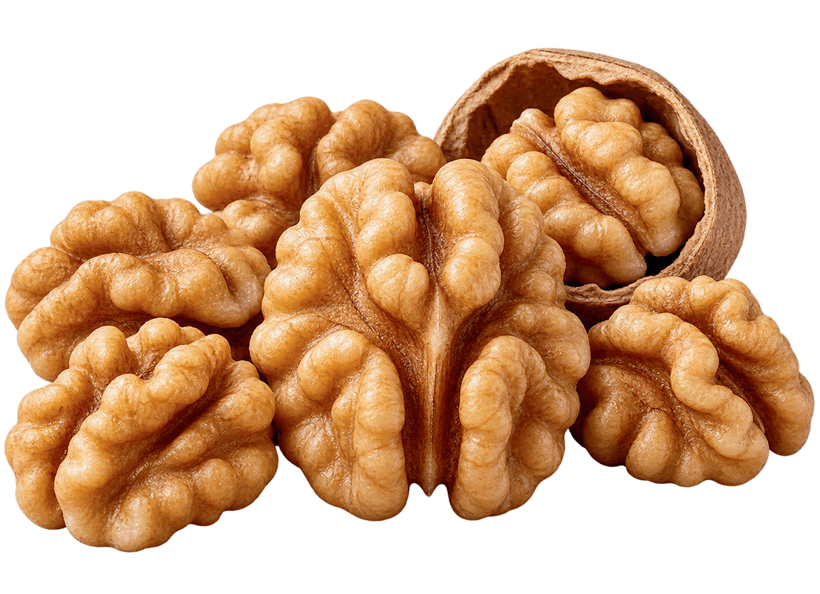 MEWA extra premium walnut halves with a cracked shell